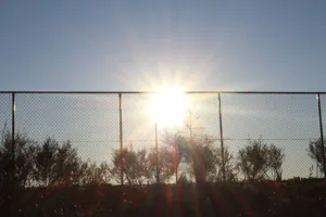 2025-06-21 Bartons Park - IMG_2593_compressed_q50.webp